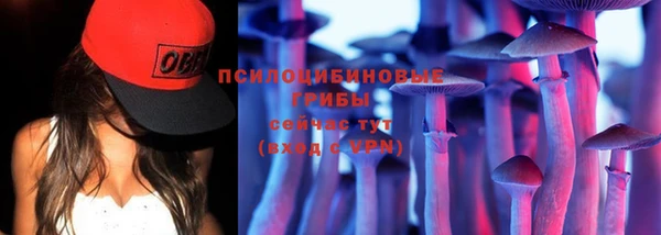 apvp Михайловка
