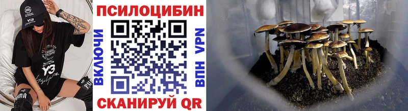 Галлюциногенные грибы мицелий  Купить  Шимановск 