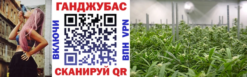 Конопля Amnesia  Купить  Шимановск 